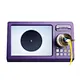 Fiber Optic Inspection Microscope